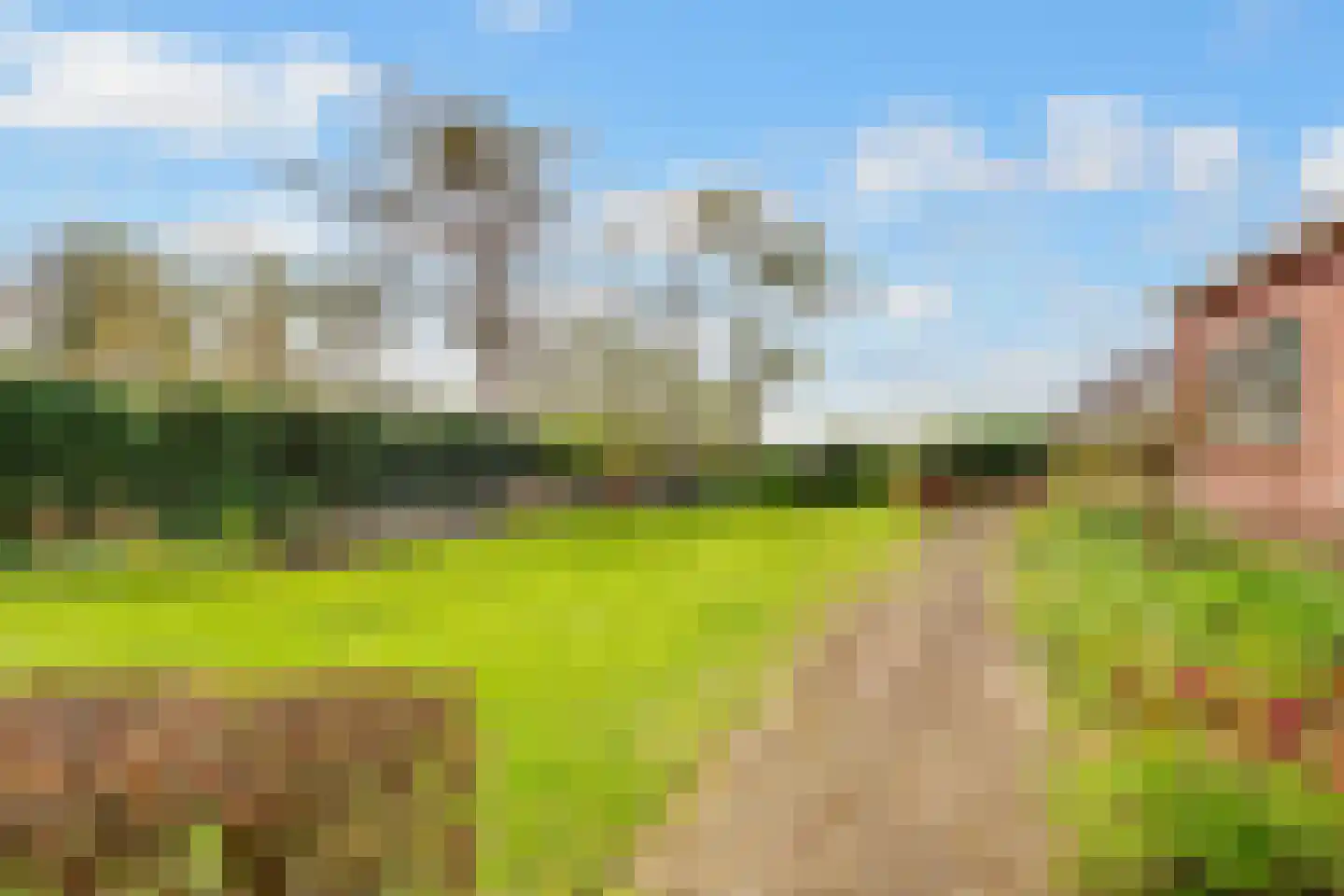 Dr. Welfferweg 86 A Westbroek thumbnail 7