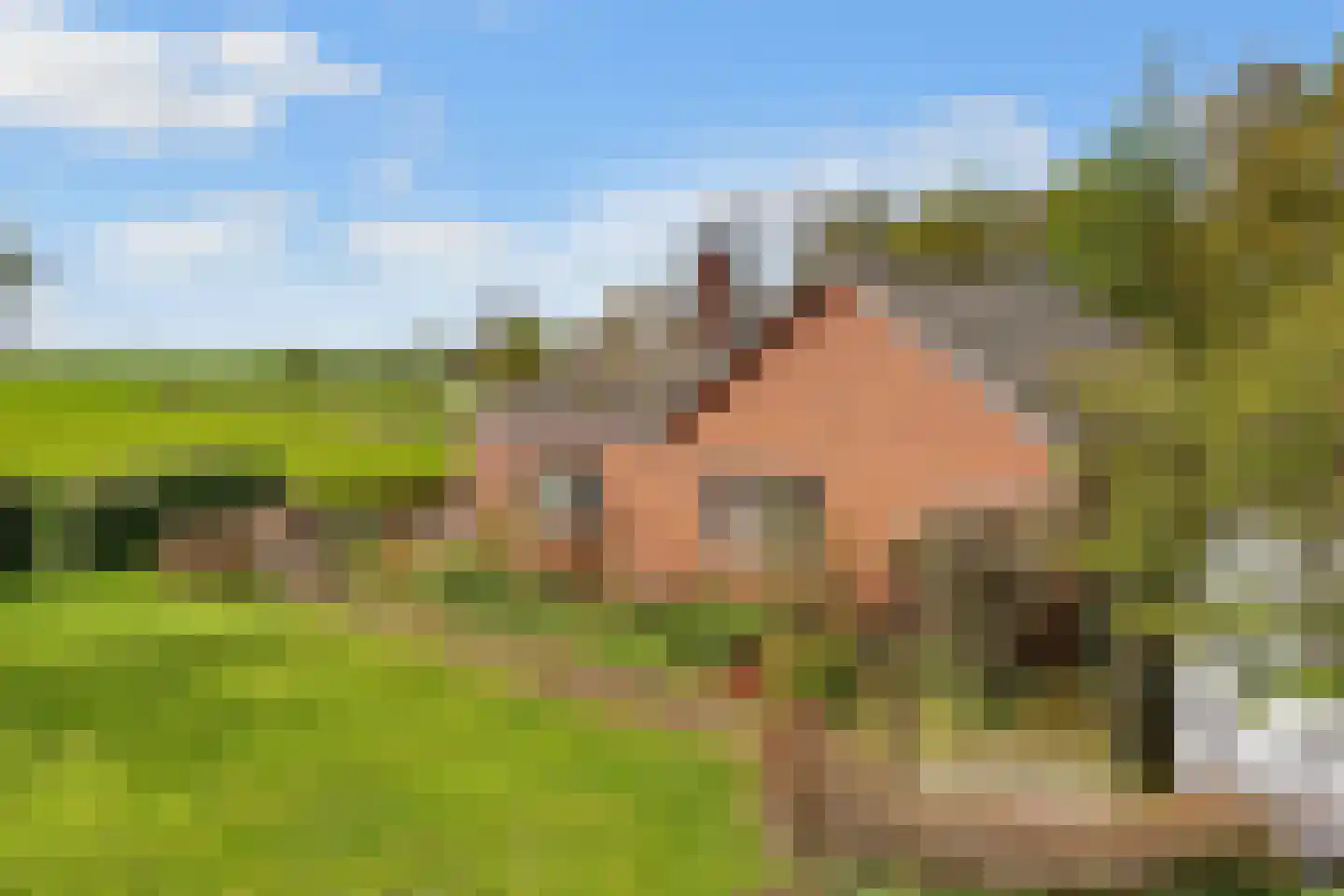 Dr. Welfferweg 86 A Westbroek thumbnail 8
