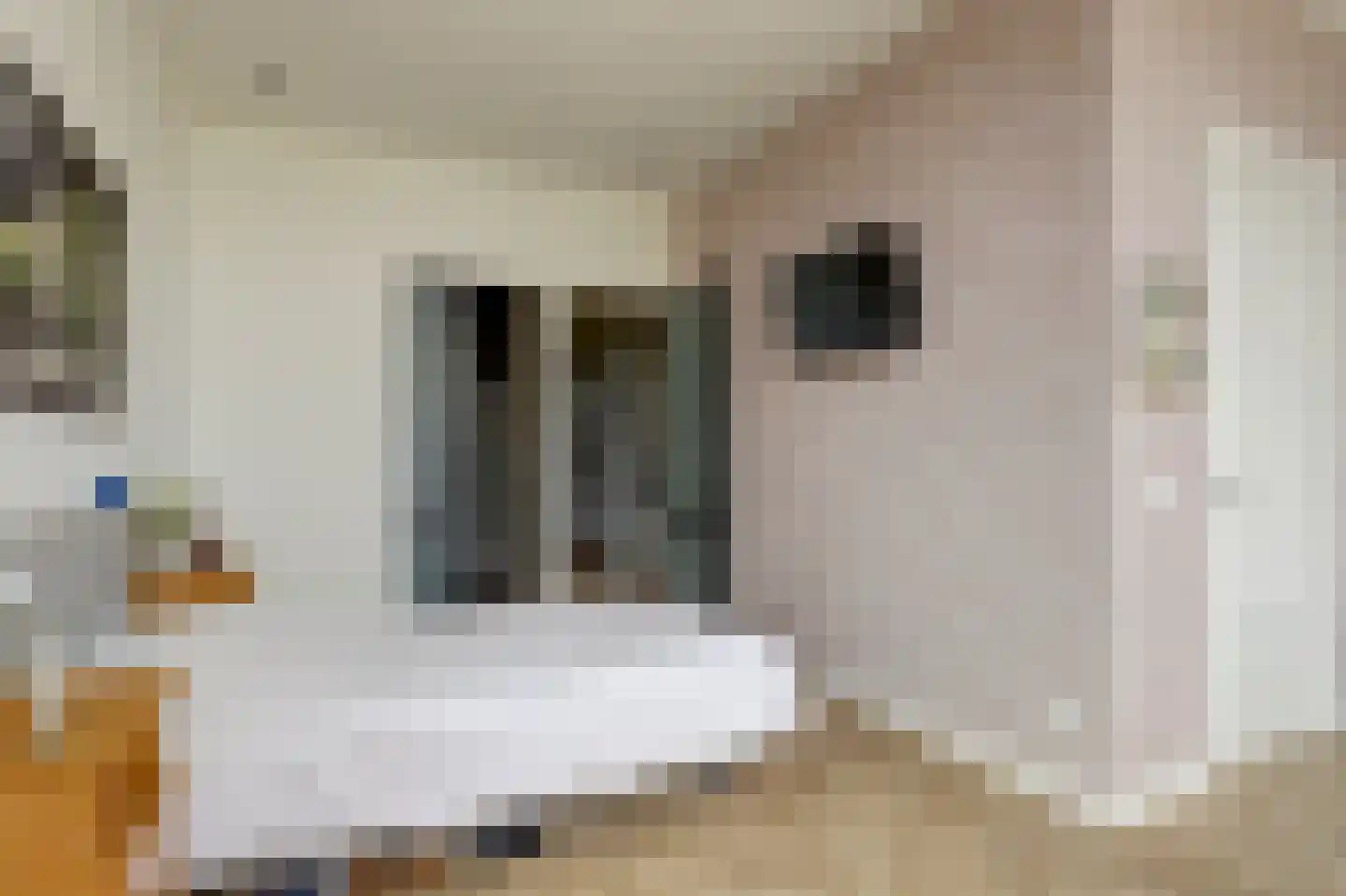 Dr Wiardi Beckmanlaan 44 Egmond aan Zee thumbnail 21