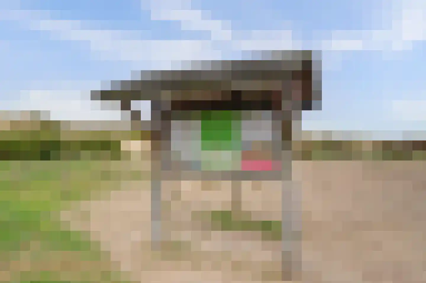 Dr Wiardi Beckmanlaan 44 Egmond aan Zee thumbnail 32
