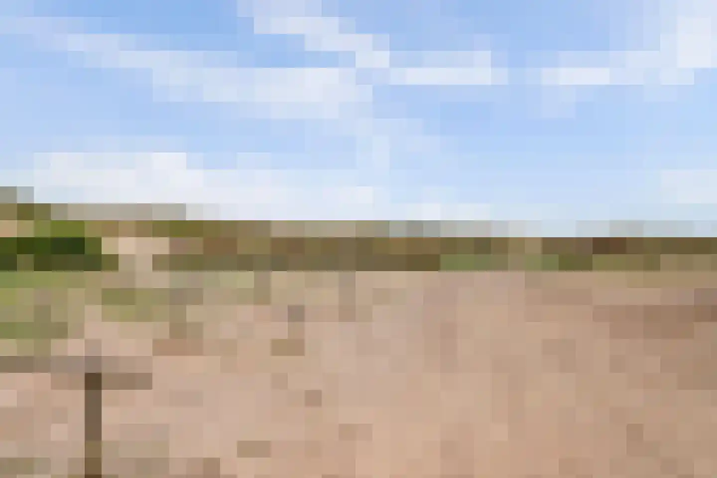 Dr Wiardi Beckmanlaan 44 Egmond aan Zee thumbnail 33