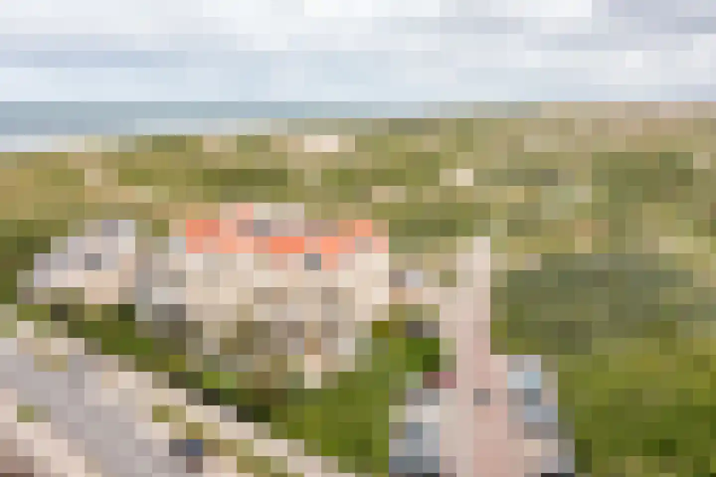Dr Wiardi Beckmanlaan 60 Egmond aan Zee thumbnail 38