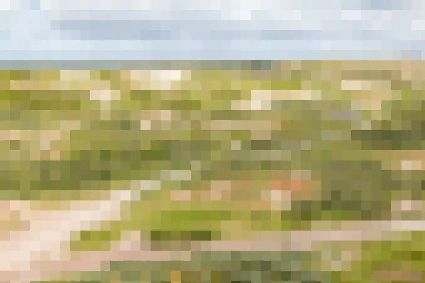 Dr Wiardi Beckmanlaan 60 Egmond aan Zee thumbnail 43