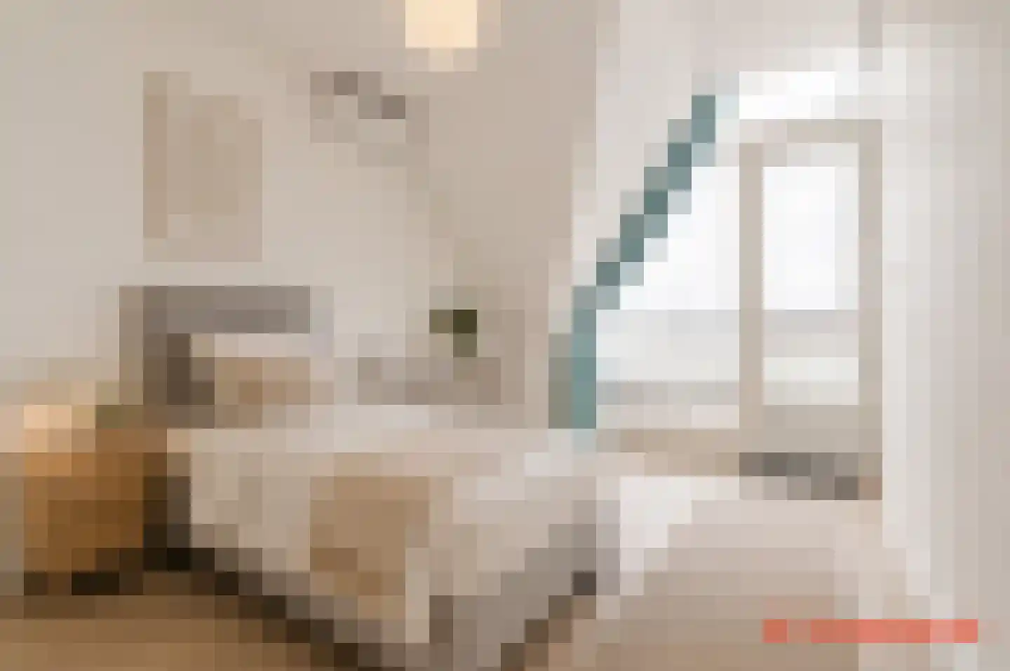 Dr Wiardi Beckmanlaan 62 Egmond aan Zee thumbnail 26