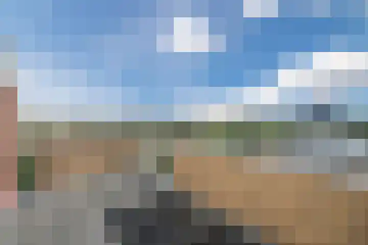 Dr Wiardi Beckmanlaan 76 Egmond aan Zee thumbnail 31