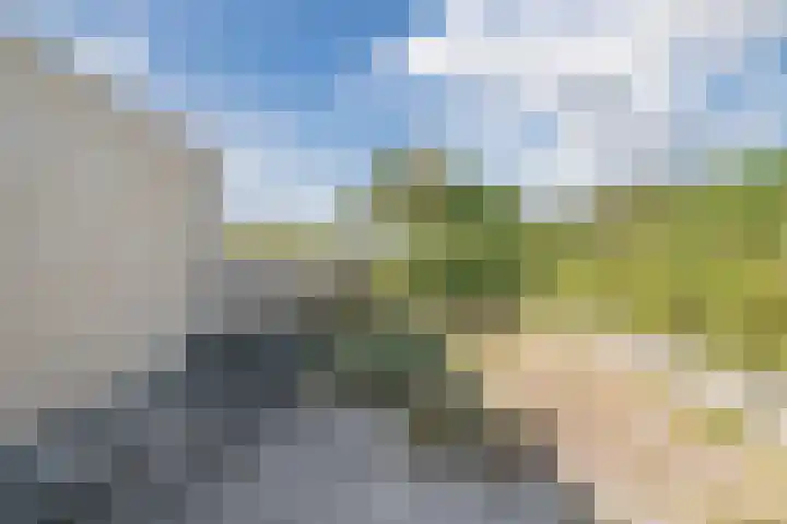 Dr Wiardi Beckmanlaan 76 Egmond aan Zee thumbnail 36