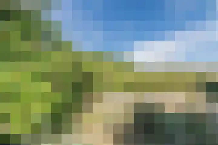 Dr Wiardi Beckmanlaan 76 Egmond aan Zee thumbnail 37