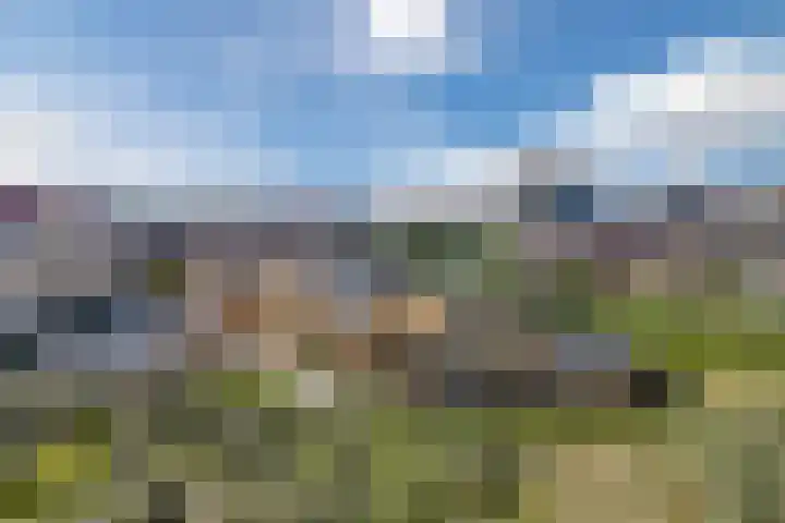 Dr Wiardi Beckmanlaan 76 Egmond aan Zee thumbnail 42
