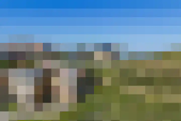Dr Wiardi Beckmanlaan 76 Egmond aan Zee thumbnail 55