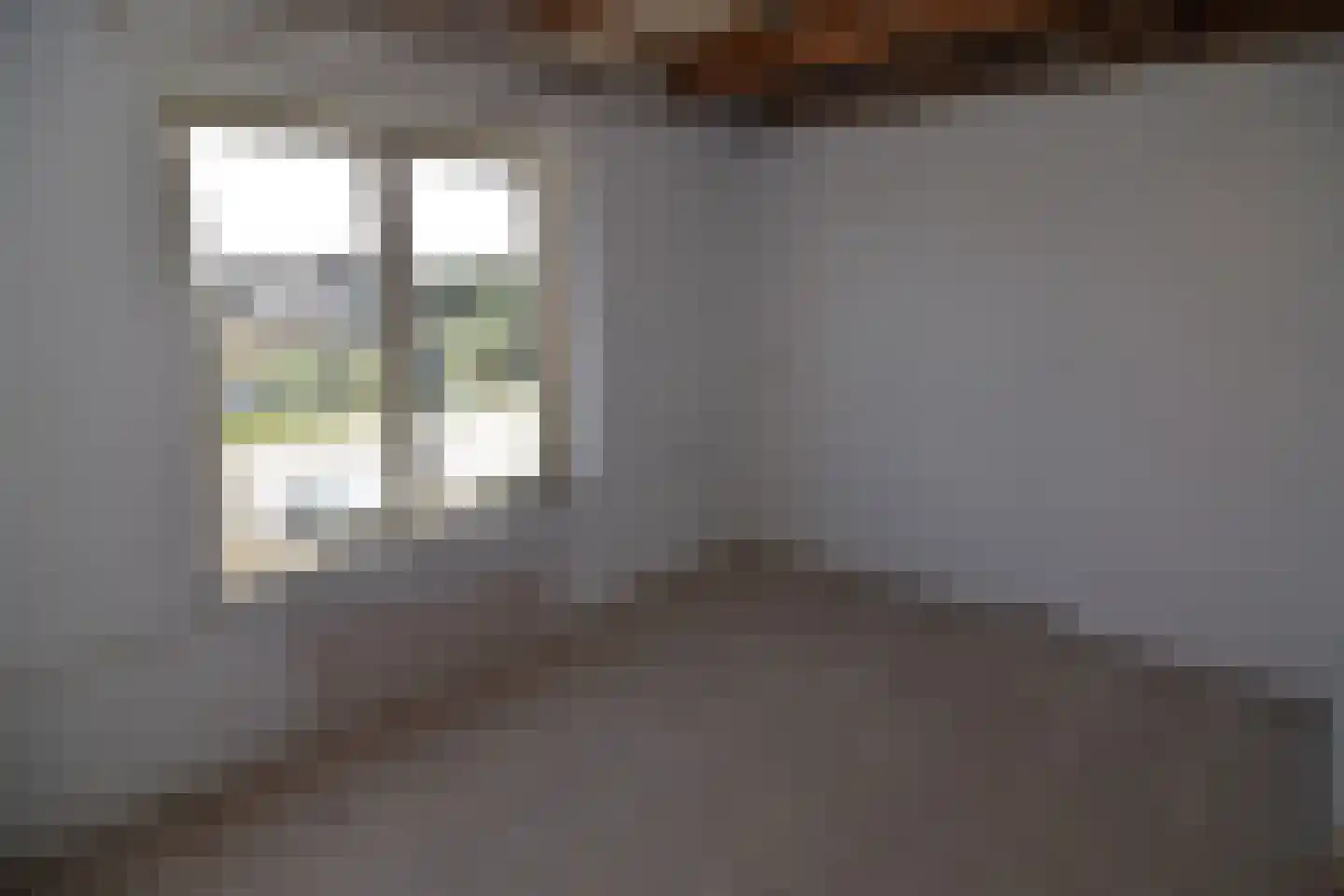 Dr Wiardi Beckmanlaan 97 Egmond aan Zee thumbnail 24