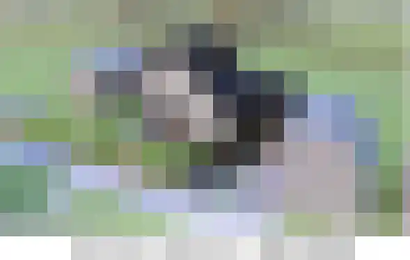 Dr Wiardi Beckmanlaan 97 Egmond aan Zee thumbnail 32