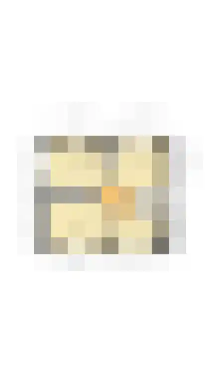 Dr Wiardi Beckmanlaan 97 Egmond aan Zee thumbnail 38