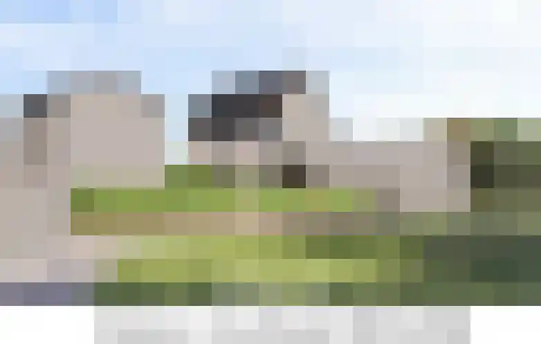Dr Wiardi Beckmanlaan 97 Egmond aan Zee thumbnail 7