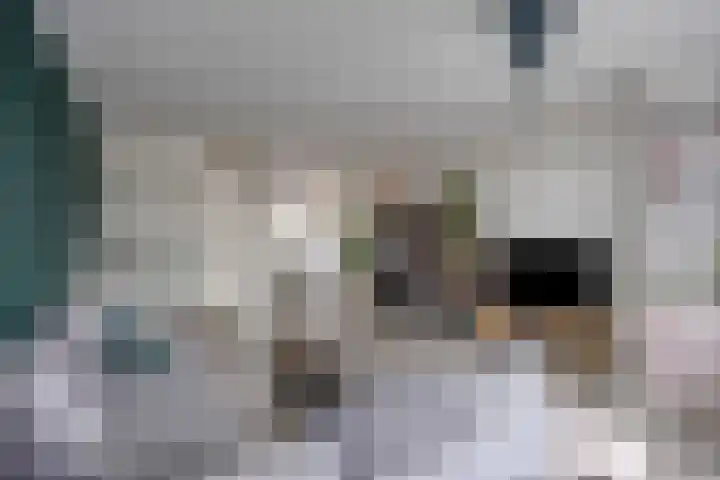 dr. Wiardi Beckmansingel 101 Vlaardingen thumbnail 17