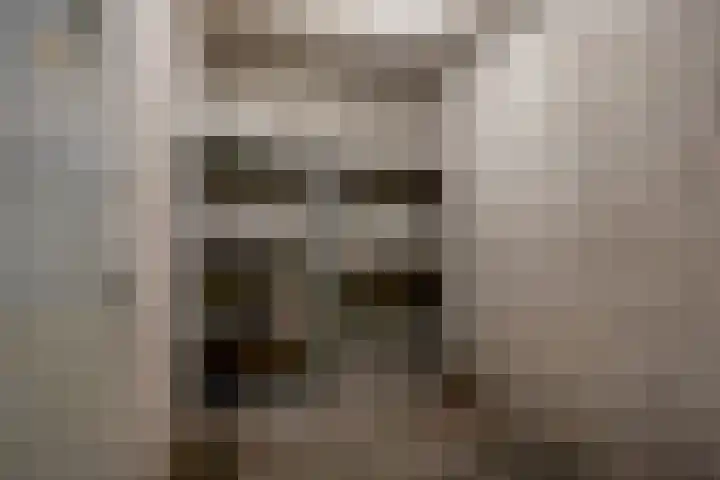 dr. Wiardi Beckmansingel 101 Vlaardingen thumbnail 32