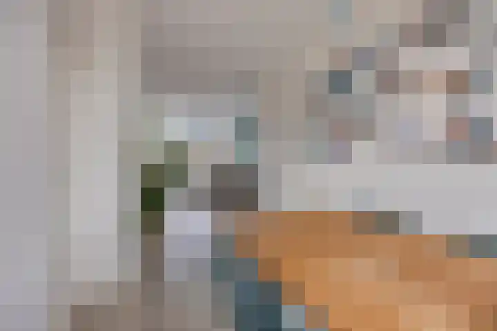 dr. Wiardi Beckmansingel 101 Vlaardingen thumbnail 4