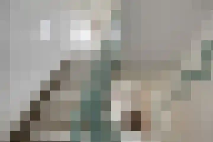 dr. Wiardi Beckmansingel 101 Vlaardingen thumbnail 6