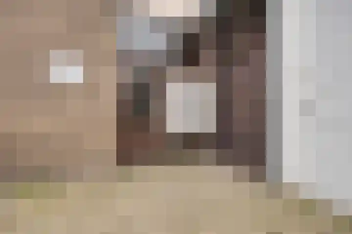 dr. Wiardi Beckmansingel 101 Vlaardingen thumbnail 7