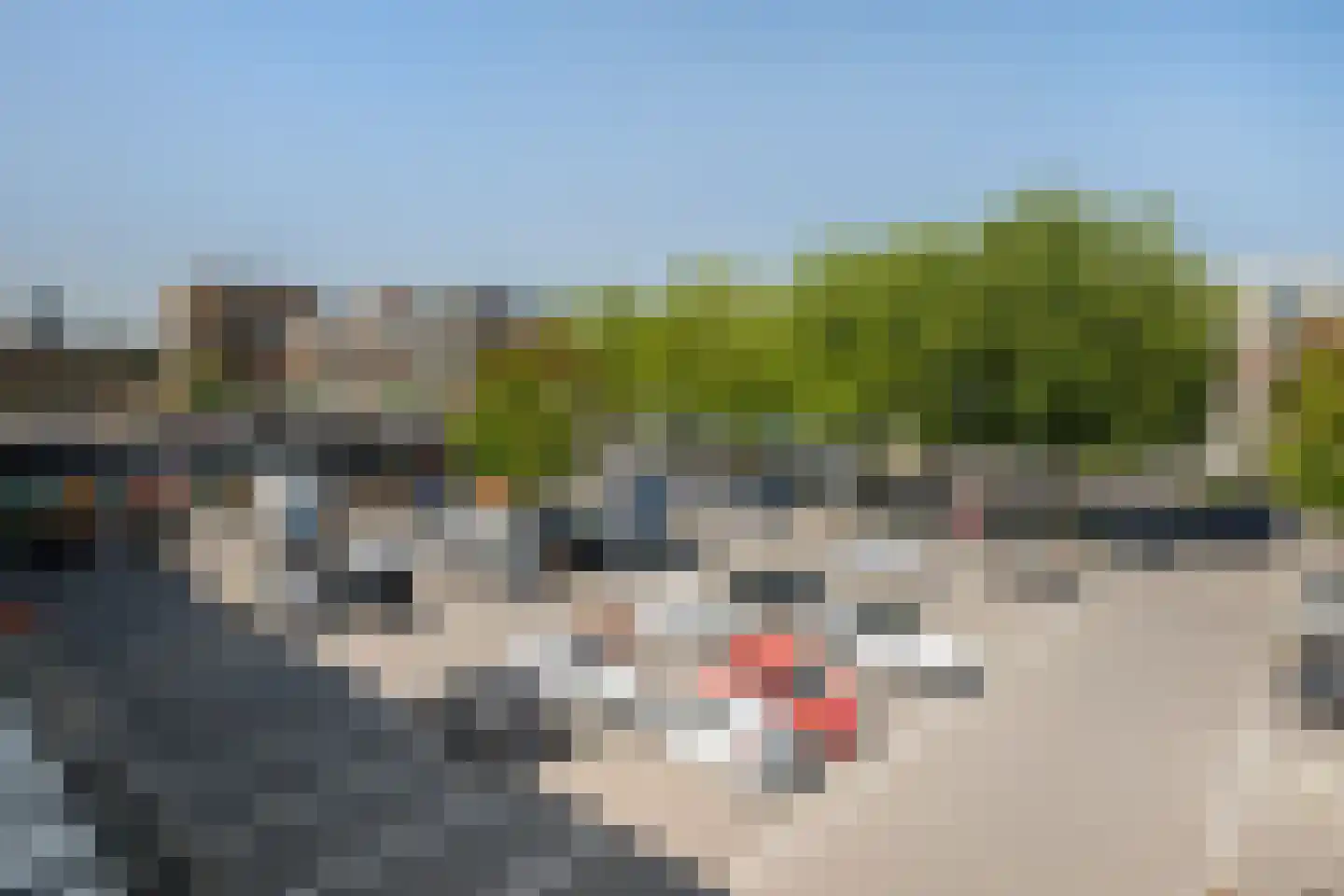 dr. Wiardi Beckmansingel 103 Vlaardingen thumbnail 14
