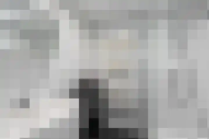 dr. Wiardi Beckmansingel 121 Vlaardingen thumbnail 15