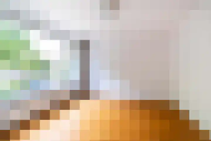 Dr Wibautlaan 65 Rijswijk thumbnail 23
