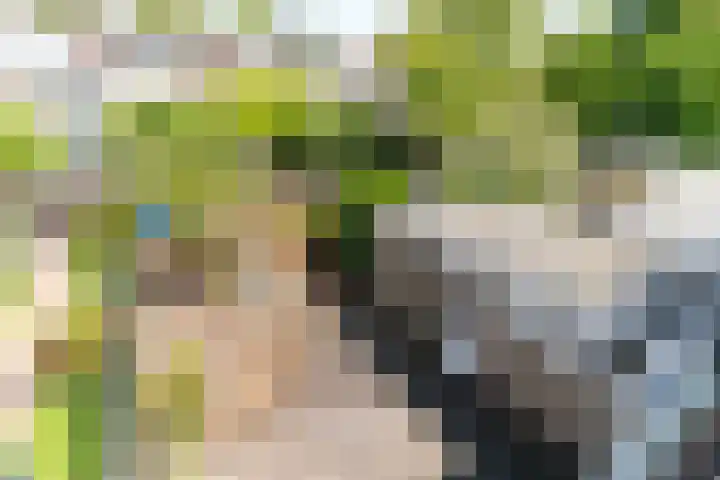 Dr Wibautlaan 65 Rijswijk thumbnail 27