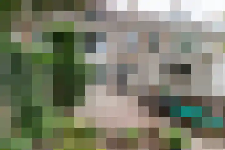 Dr Wibautlaan 75 Rijswijk thumbnail 4