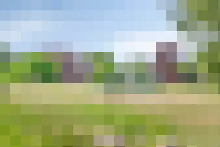 Dr Wibautplein 102 Schiedam thumbnail 22