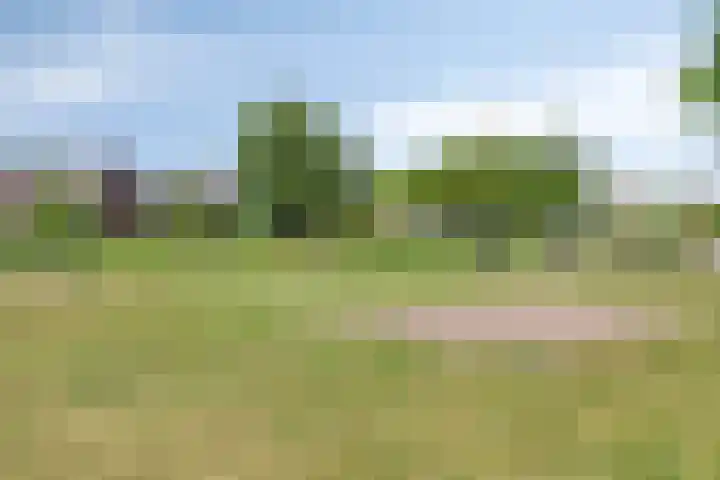 Dr Wibautplein 102 Schiedam thumbnail 23