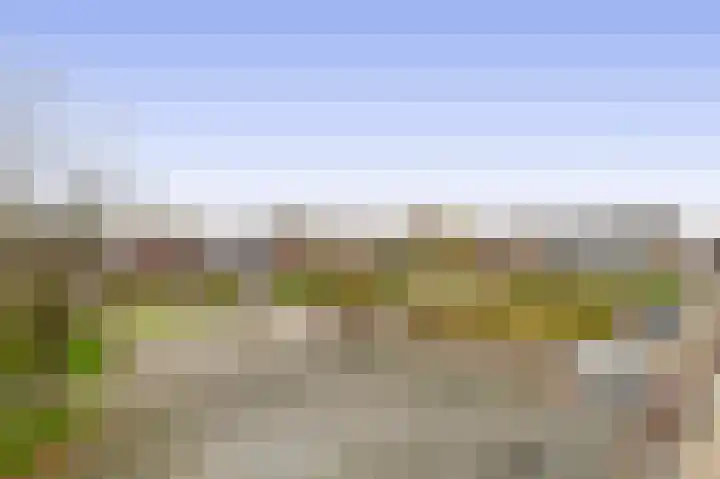 Dr Wibautplein 136 Schiedam thumbnail 35