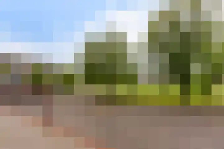 Dr Wibautplein 146 Schiedam thumbnail 37
