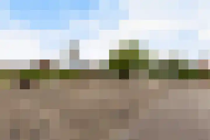 Dr Wibautplein 146 Schiedam thumbnail 40