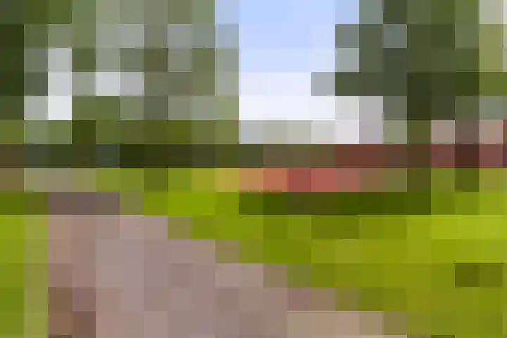 Dr Wibautplein 146 Schiedam thumbnail 41