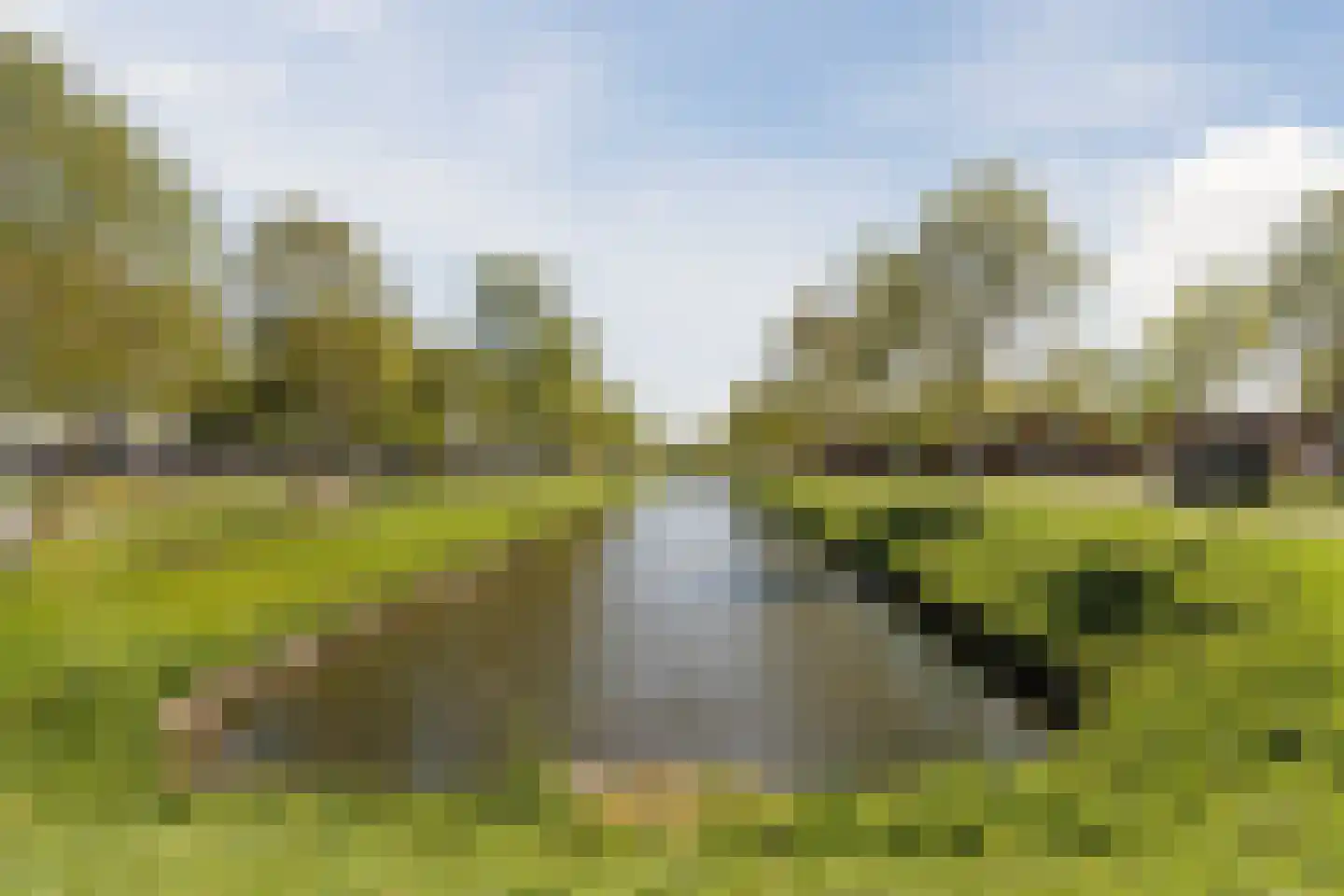 Dr Wibautplein 150 Schiedam thumbnail 38