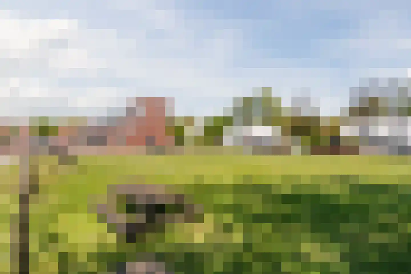 Dr Wibautplein 150 Schiedam thumbnail 40