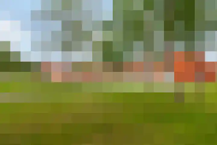 Dr Wibautplein 156 Schiedam thumbnail 19