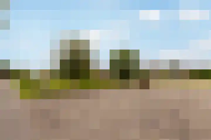 Dr Wibautplein 156 Schiedam thumbnail 37
