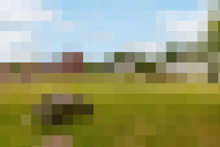 Dr Wibautplein 156 Schiedam thumbnail 40