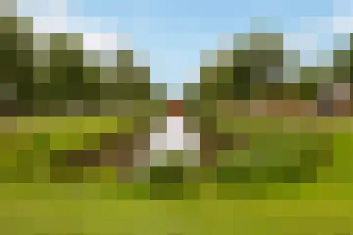 Dr Wibautplein 156 Schiedam thumbnail 41