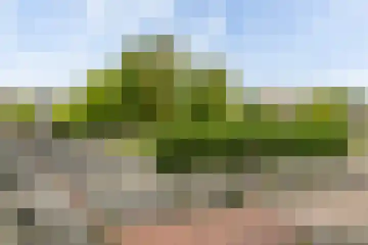 Dr Wibautplein 176 Schiedam thumbnail 13