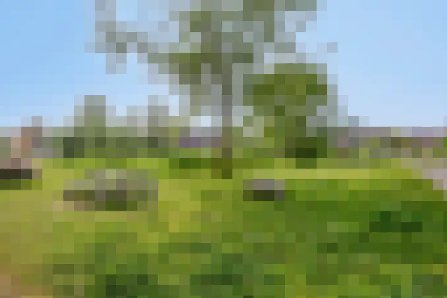 Dr Wibautplein 84 Schiedam thumbnail 21