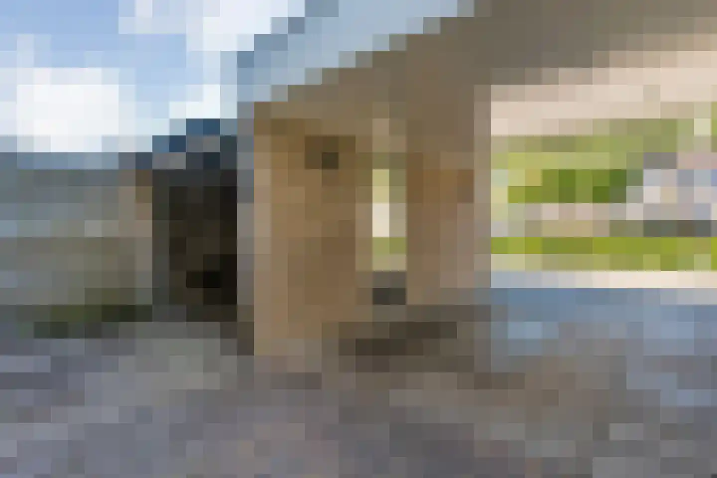 Dr. Wiersemahof 11 Kampen thumbnail 41
