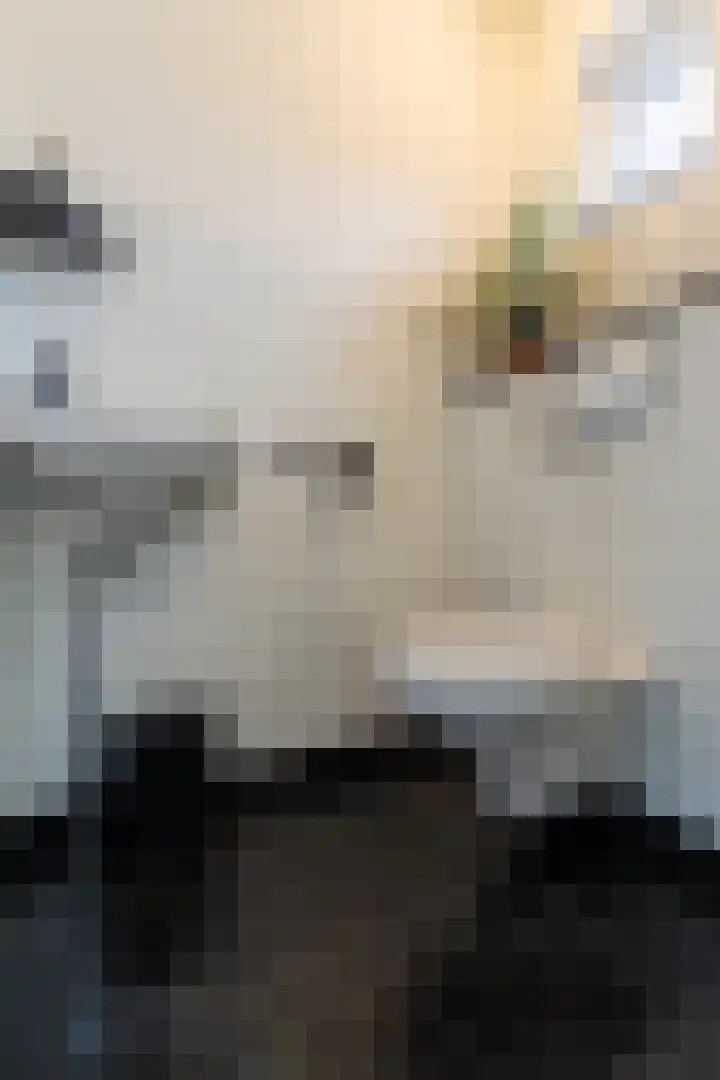 Dr. Wiersemahof 13 Kampen thumbnail 22