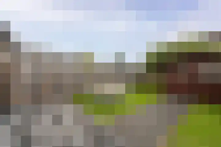 Dr. Wiersemahof 13 Kampen thumbnail 36
