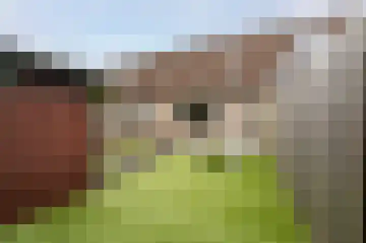 Dr. Wiersemahof 13 Kampen thumbnail 38