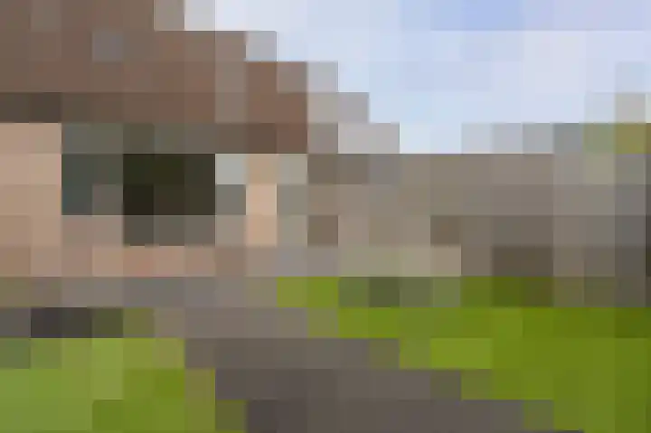 Dr. Wiersemahof 13 Kampen thumbnail 39