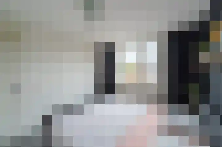 Dr. Wiersemahof 13 Kampen thumbnail 50