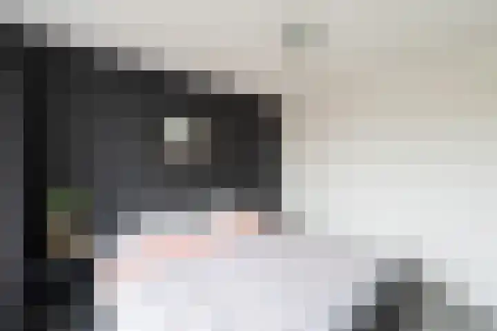Dr. Wiersemahof 13 Kampen thumbnail 51