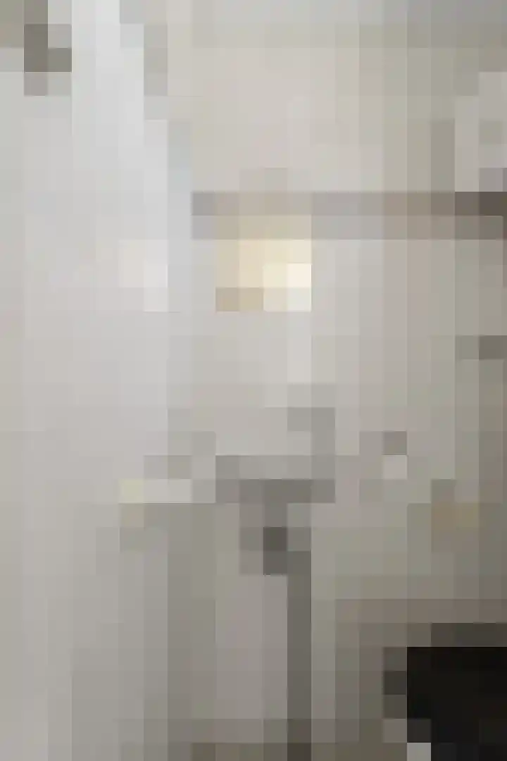 Dr.Wierstraat 10 Grave thumbnail 11