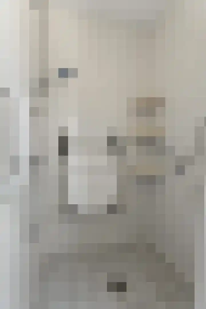 Dr.Wierstraat 10 Grave thumbnail 23